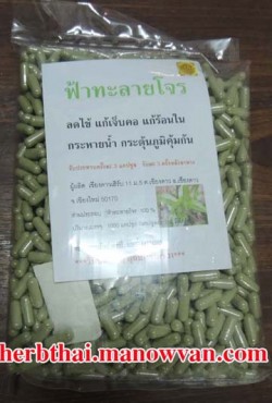 ฟ้าทะลายโจร สมุนแก้ไข แก้กระหายน้ำ