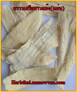 กวาวเครือขาว แผ่นแห้ง