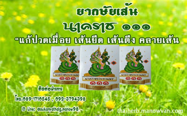 ยากษัยเส้น นาคราช รักษาเส้น แก้ปวดเมื่อย